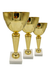 CTS 237 | SET de 3 Cupe Sportive - TrophyShop